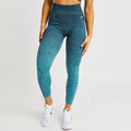 AYBL Jacquard Seamless High-Waisted Legging Blue